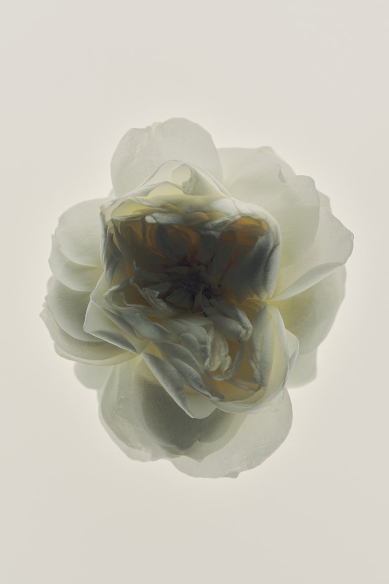 H&M Eau de Toilette Cyber Monday