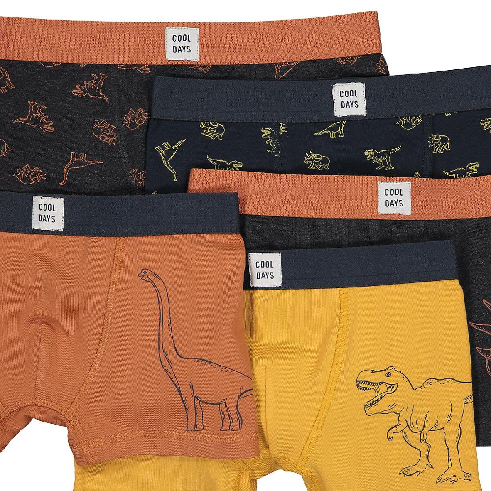 laredoute 5er-Pack Boxerpants "Dinosaurier" bunt LA REDOUTE COLLECTIONS Kostenloser Versand